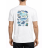 Tshirt Coton SR - Homme ®